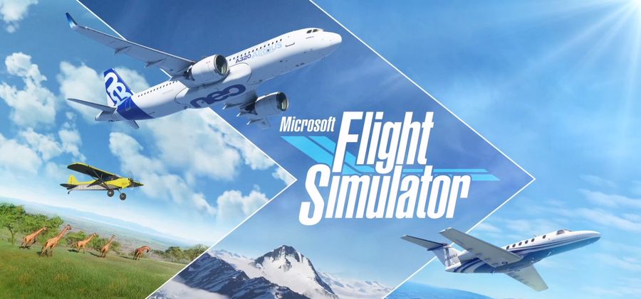 Microsoft Flight Simulator
